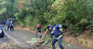 Силен вятър предизвиква проблеми за втори пореден ден в Букурещ и околностите