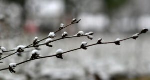 зима, време