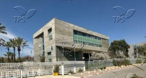 ТПС: Когнитивните умения на хората, преживели инсулт, могат да отключат по-добри пътища за възстановяване