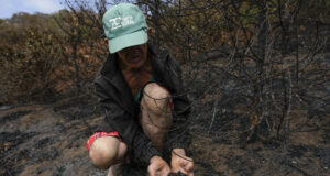 Цените на кафето достигнаха 50-годишен връх и не спират да се покачват