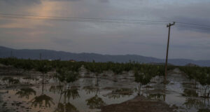 АНА-МПА: Европейски специален фонд ще помага за преодоляване на последиците от природните бедствия