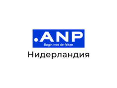 АНП: Нидерландската полиция е получила над петдесет сигнала относно кражбата на артефакти от музея "Дрентс" в Асен