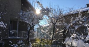 времето, зима