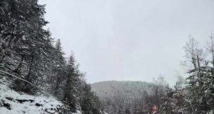 Възстановено е движението на тежкотоварни автомобили над 12 т пo пътя Кюстендил - ГКПП "Гюешево"