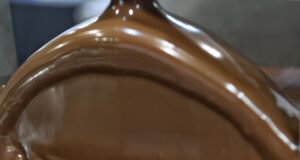 Гръцката ИОН придобива обратно българската компания "Интерион" АД, производител на течния шоколад "Нукрема", съобщи гръцка медия