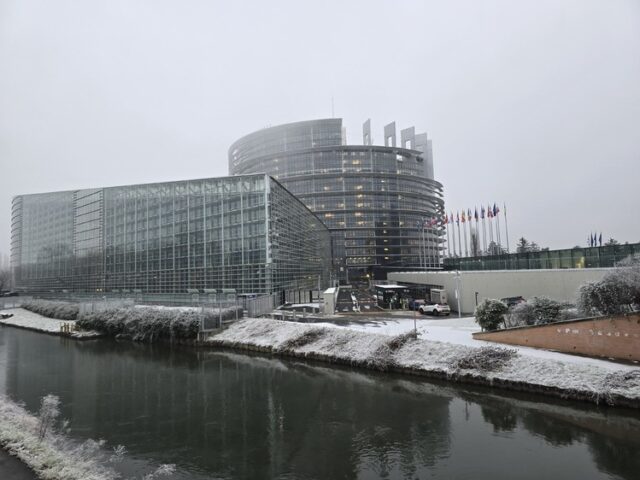 Лидерите на политическите групи в Европейския парламент приветстваха спирането на огъня в ивицата Газа