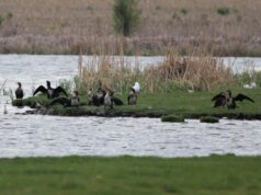 Не е установено повишаване на водните нива в десетте язовира на територията на Столичната община