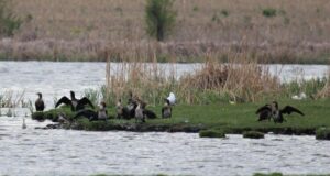 Не е установено повишаване на водните нива в десетте язовира на територията на Столичната община