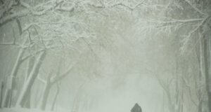 снежна буря, сняг