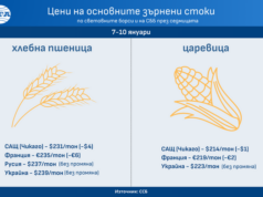 Цените на повечето зърнени култури по световните борси тази седмица се върнаха към котировките от декември, отчита ССБ