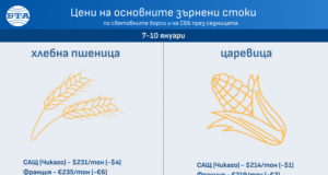 Цените на повечето зърнени култури по световните борси тази седмица се върнаха към котировките от декември, отчита ССБ