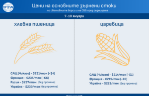 Цените на повечето зърнени култури по световните борси тази седмица се върнаха към котировките от декември, отчита ССБ