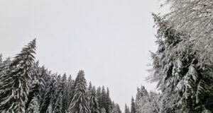 Шофьорите да тръгват на път с автомобили, готови за зимни условия, призовават от Агенция "Пътна инфраструктура"