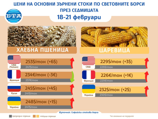 Леко повишение на цените на основни зърнени култури на световните борси през седмицата, отчитат експертите на Софийската стокова борса