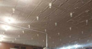 Архитекти и преподаватели поставиха начало на инициатива за възраждане на българските читалища