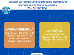 Възходяща тенденция при цените на основни зърнени култури по световните борси в края на януари, отчитат експертите на ССБ