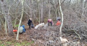 Доброволческа акция за почистване се проведе в Добрич