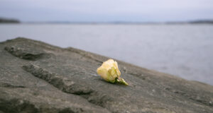 Идентифицирани са телата на 55-ма от загиналите при сблъсъка между пътнически самолет и военен хеликоптер във Вашингтон