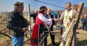 На Трифон Зарезан зарязаха лозите в старозагорското село Оряховица