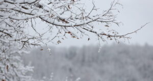 Не са добри условията за туризъм по планините, съобщиха от Планинската спасителна служба на БЧК