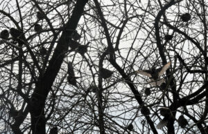 Студено време с променлива облачност и силен вятър Студено време