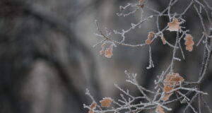 Времето, зима