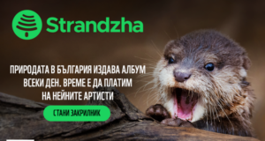 WWF възстановява един от последните запазени притоци на Дунав у нас