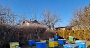 Голяма част от потребителите, консумиращи мед, все още избират продукта по цената, а не според качеството, каза пчеларката Сия Манолова