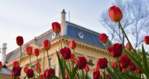 България, пролет