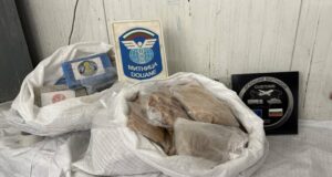 Немски гражданин, роден в Турция, е обвиняем за контрабанда на наркотици за над 4 млн. лева, разкрити на ГКПП "Капитан Андреево"