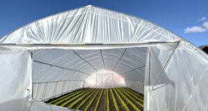 Нови технологии и иновации в оранжерийното производство ще бъдат представени в рамките на демо ден в център в Пловдив