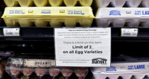 ОБЗОР
                                                                                                 След като поиска Гренландия, Тръмп поиска и яйца от Дания