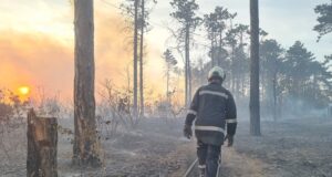 Пожар край Сатовча засегна около 70 дка борова гора, огънят вече е потушен