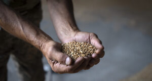 Русия и САЩ се очаква да обсъдят възобновяване на черноморската зърнена сделка, според Кремъл