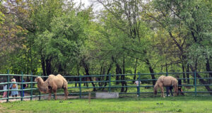 С близо 20 на сто са се увеличили посещенията на основните туристически и културни обекти в община Ловеч за година