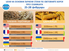 Спад в цената на пшеницата и на царевицата на международните зърнени пазари през седмицата, отчитат експертите на Софийската стокова борса