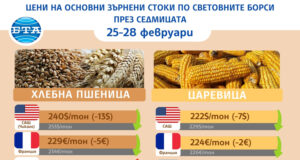 Спад в цената на пшеницата и на царевицата на международните зърнени пазари през седмицата, отчитат експертите на Софийската стокова борса