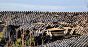 Студентката Стефания Алексова от Американския университет в Благоевград е сред жертвите от град Кочани