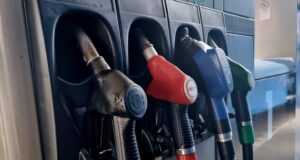 "Сърбиягаз" може да поеме руската мрежа в България и Румъния, съобщи генералният директор на сръбската газова компания