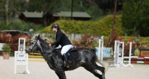 АТА: Албанската асоциация за конни надбягвания организира състезание по прескачане на препятствия в Мулет