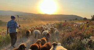 В Благоевград се организира среща със земеделските стопани на 9 април в рамките на информационната кампания за директни плащания 2025 г.