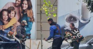 В Кърджали ще се извърши първото за годината пръскане срещу кърлежи и комари