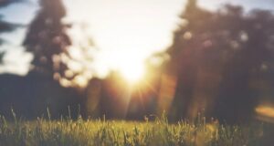 слънце пролет, пролетта