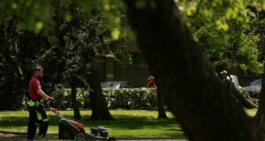 За събиране и транспортиране на битовите отпадъци са предвидени 86 500 000 лв. в бюджета на София, съобщи Васил Терзиев