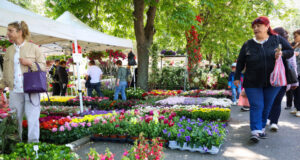 Започва 40-ото национално изложение на цветя "Флора" в Бургас