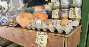 Над 10 процента е средното поскъпване на козунаци и яйца във Враца преди Великден спрямо миналата година