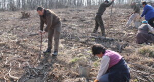 Нови 91 декара гори са залесени в Поповско в навечерието на Седмицата на гората