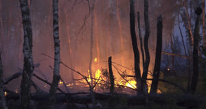 Няколко горски пожара горят в германска провинция Северен Рейн-Вестфалия