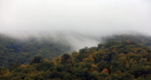 Прогноза за времето