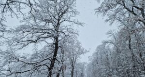 Шофьорите да тръгват с готови за зимни условия автомобили, очакват се валежи от дъжд и сняг, апелираха от АПИ